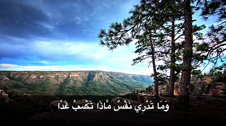 وما تدري نَفْسٌ بِأي أَرْضٍ تموت