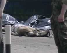 20 Dead in Bomb Attacks in Moscow