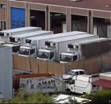 Over 11,000 Dead in French Heat