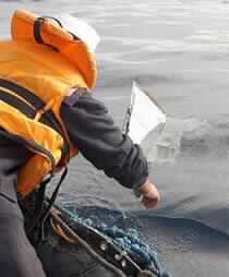 Red Sea Plane Crash not Linked to Terror, Says Egypt