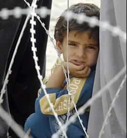 Two US Soldiers Killed as Iraqi Forces Move into Fallujah