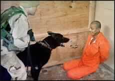New Video Images Highlight Iraq Abuse