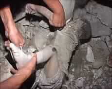 Many Killed in US Air Strike on Falluja