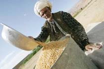 Japanese Tourists Missing in Troubled Afghan South